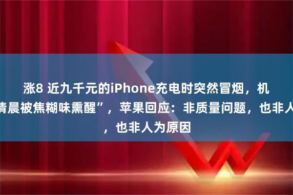 涨8 近九千元的iPhone充电时突然冒烟，机主称“清晨被焦糊味熏醒”，苹果回应：非质量问题，也非人为原因