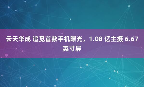 云天华成 追觅首款手机曝光，1.08 亿主摄 6.67英寸屏