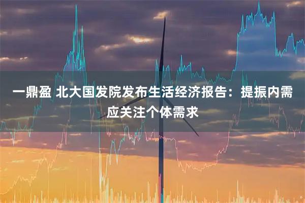 一鼎盈 北大国发院发布生活经济报告：提振内需应关注个体需求